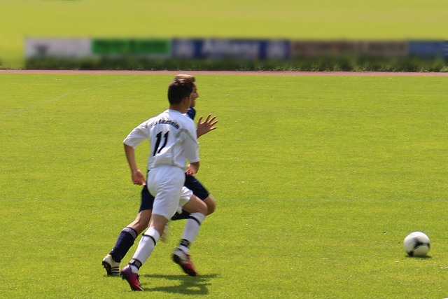 球队整体的 球队整体的