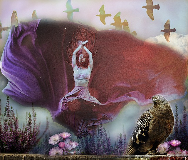 纳乌的绝对 纳乌的绝对