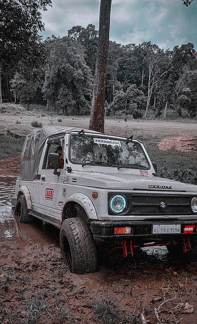 成为了一张 成为了一张