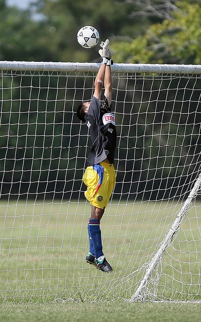 了更多机会 了更多机会